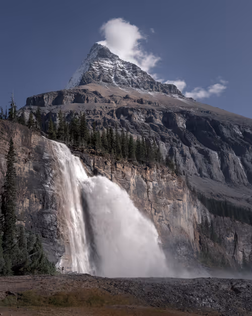 Item #11717075435639617062538583051799023982813876484308334407242089865690858127361 Media