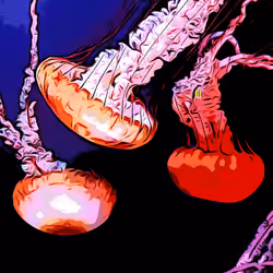 Jelly Jill Water Under View # 20