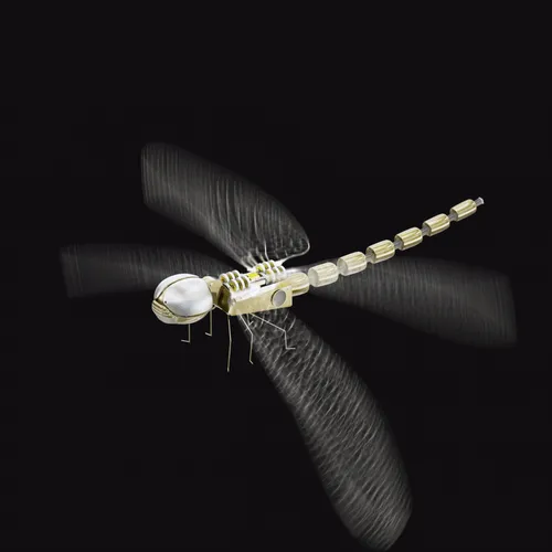 Item #59221695809999844932868241311026825972511777315967343673418626821136270229505 Media