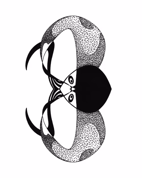 Item #55910033793432811292494718472823426020792169771492944896856205224759240163329 Media