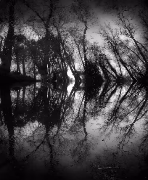 Item #40160686583094733528677484039903516258611509642019211679321071401195095982081 Media