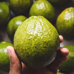Big N' Green