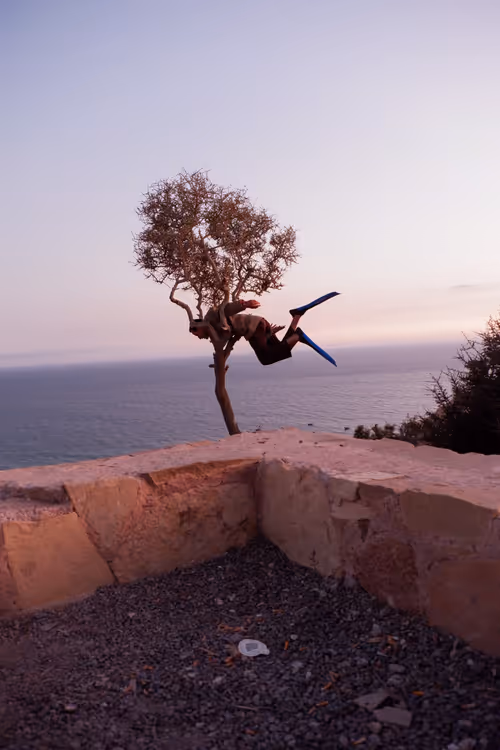 Item #4513353140435915256927038014390726780334549173447047818238800785451580915713 Media