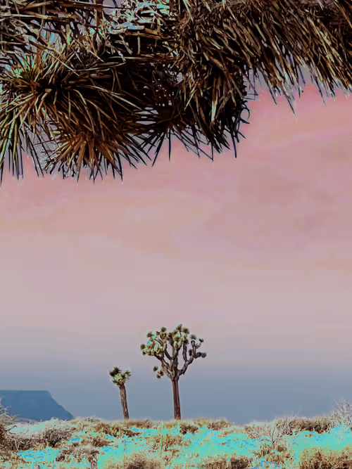 Item #47997866231761098572222981583558419550598521142276192134264462498143643107329 Media