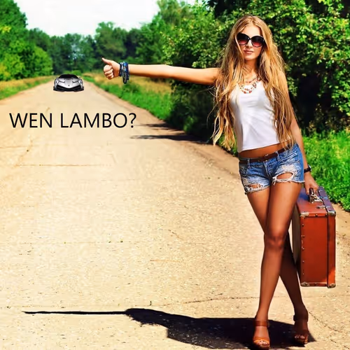 Item #47328623349630543487182831396849315094734989390434770970659190373203432177665 Media