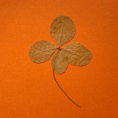 Item #103686640383972386915296784894542231468073856368856454861741466997426766217217 Media