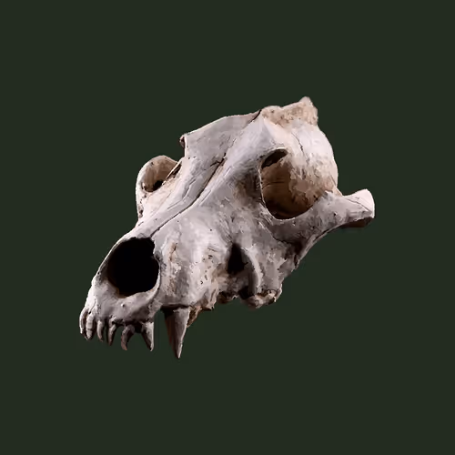 X. @gaia_crypt pfp