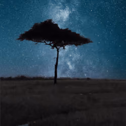 Color of Africa