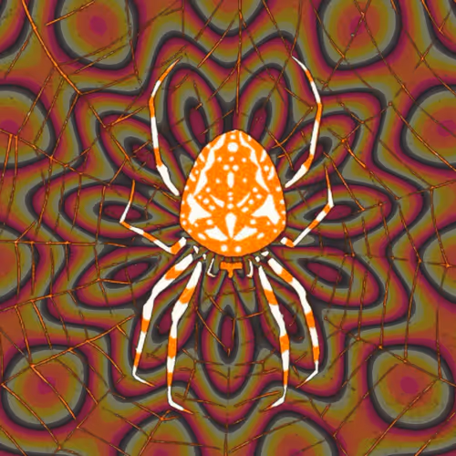 Sophisticated Psychonauts 2nd Trip A Microdose