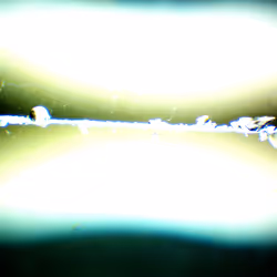 71646257518770613568983710813551014237803002136866425209291834679403982356481