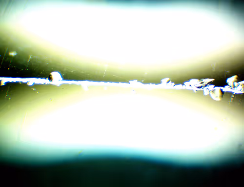 Item #71646257518770613568983710813551014237803002136866425209291834679403982356481 Media