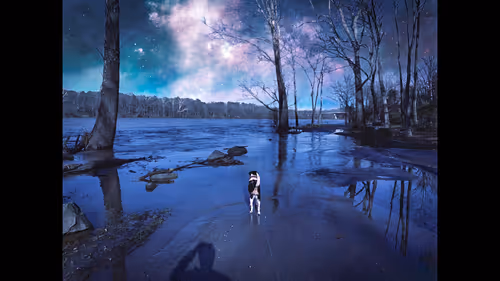 Item #49174666910166564779922856925235532419926271386136280699772621395071661506561 Media