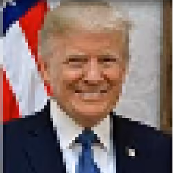 45 - President Punk Trump