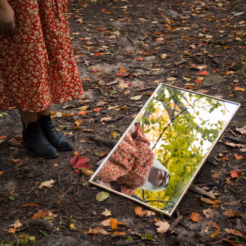 Fall Diaries CIhymdgfcp