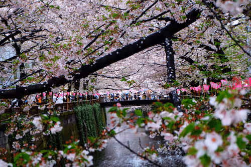 Item #62413193135296408545463607434884792710055697999541416709441931327981649657857 Media