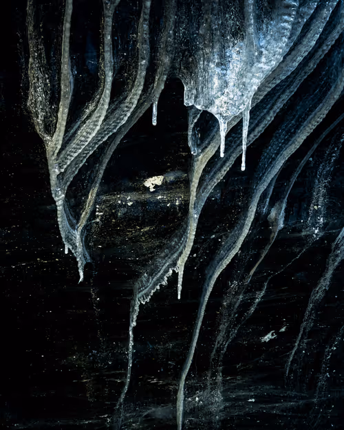 Item #92025450797269199699519638407999947828010124563072321716364901877060351295489 Media