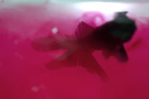 Item #101713277105975589639880448454091243544280285560533982294413790937574941917194 Media