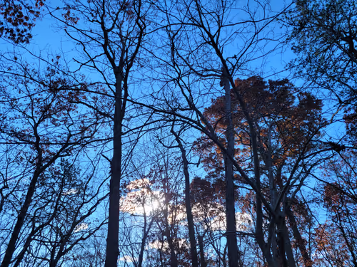 Item #34085441569699423005310991372941828806155687762378495952169943194477290061825 Media