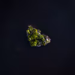 100600280271040798317723628260513137156606623100883316454227272232120361156609