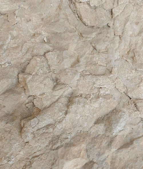 Item #15325810116410904457182632049332638599171406847873853039226074930269799841793 Media