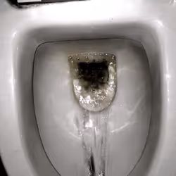 12660136923828748263426703316480839463053827608546839420335323754631528448001