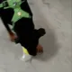 58137756309538413460863657280904133347830036607556299953348264764762325254145