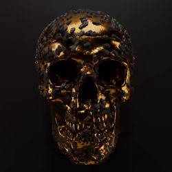 Goldboy black 1- Stage of infection