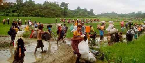 Item #28483083615204022371300351477704581571274768988091129970329682064775697137665 Media