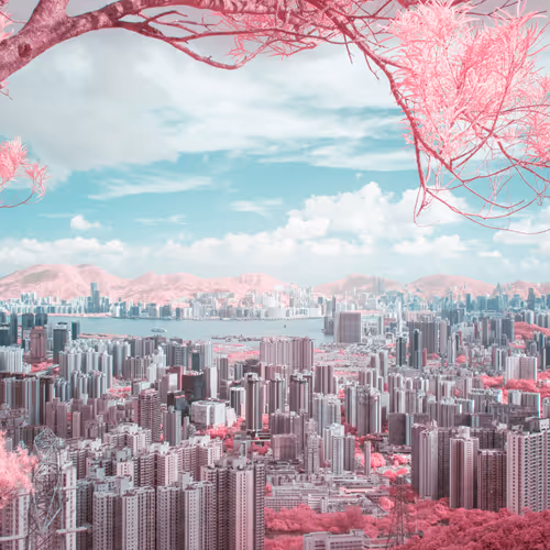 51038767389134457626930617169090287934471579480777975785156342561214220468225