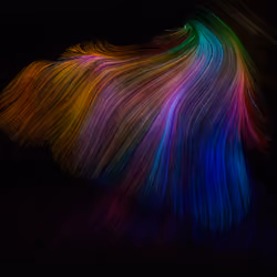 deconstructed flow arts 3