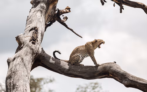 Item #46146454175190830687847236221543248864679735900060228179798027752810718691329 Media