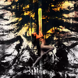 111271066337772807736159306782946161294370465661437736660235064371643672428545