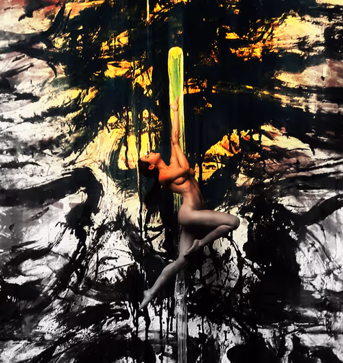 Item #111271066337772807736159306782946161294370465661437736660235064371643672428545 Media