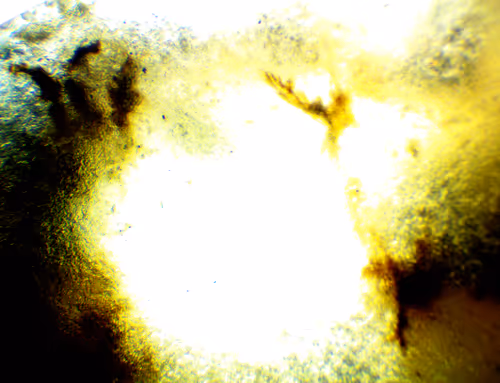 Item #71646257518770613568983710813551014237803002136866425209291834540865517256705 Media