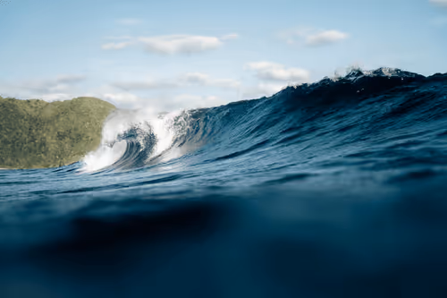 Item #99926930229538675438917090631619995362212113699001151744757174471627781439588 Media