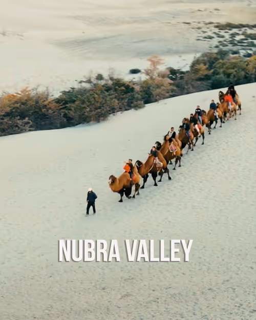 Item #76182420435474433030175106925333141340122143524658153810664851508743800619009 Media