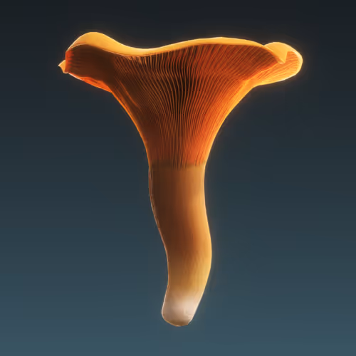 Item #95653877050150474555742155054455970472164202465768371638498213977783137206273 Media