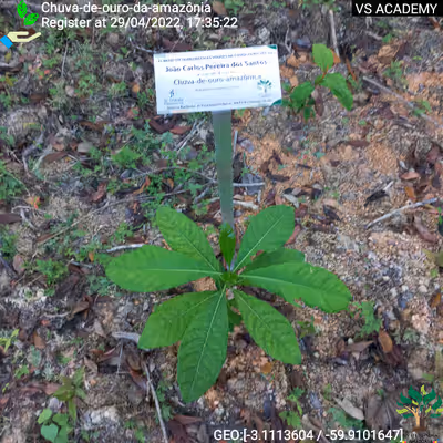 Item #8500196597889277390194123329501889087166328879864934763448348845706546511873 Media