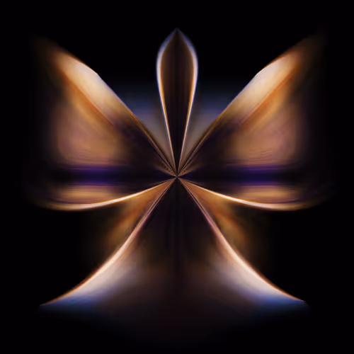Dimensions Pete Rey Fine Art