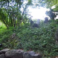 Hidden2