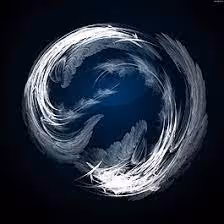 Untitled Collection #51344665