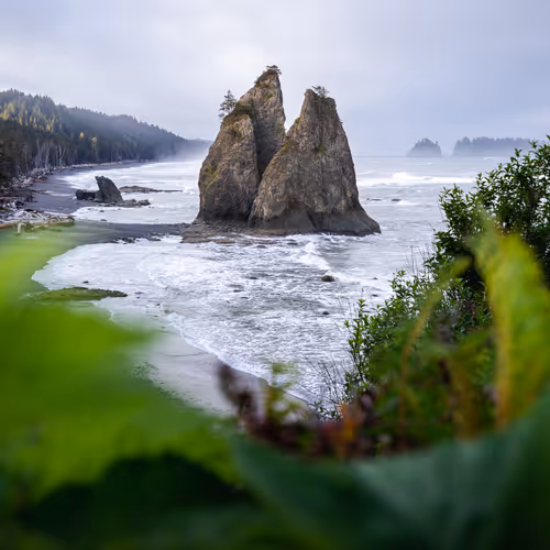 Wilderness of Washington #14