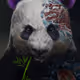 11137937233119401550146054300933926157393806519766817982507033164701335814145