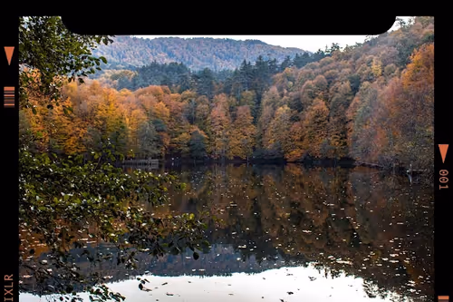 Item #107978139147131831661941634405889412338959910345453465515168770547056233152513 Media