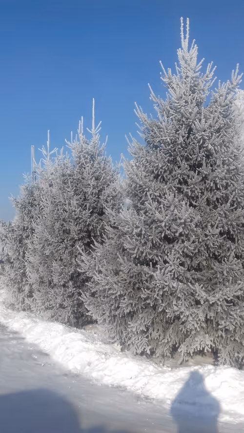 Item #91410894763267945094510758033366922052072644023537099320949411417814361702401 Media