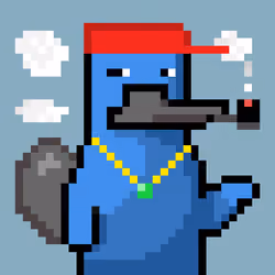Platy Punk #2711