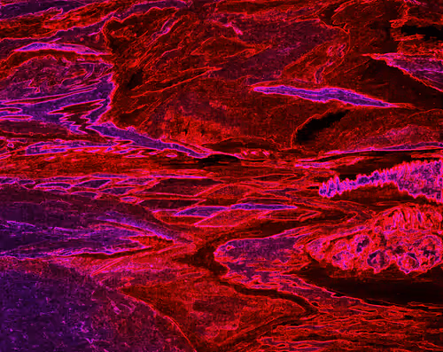 Item #63125027143692450545670349952386454228826326106008763949201579410667650154497 Media