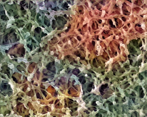 Item #22177301469207423034343584871570086378673375420367340164683847220972593610753 Media