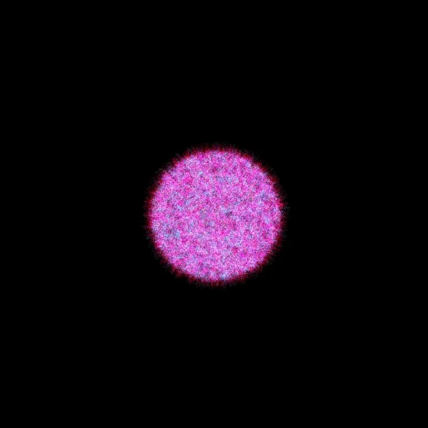 Physarum #219