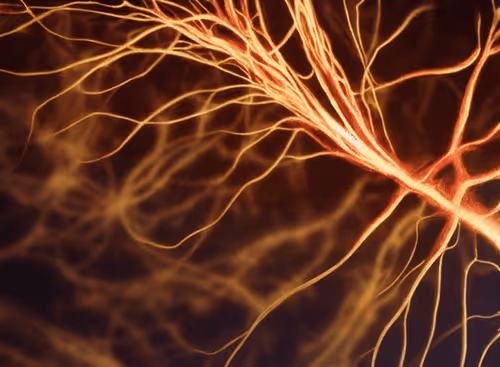 Item #98695163844141812296559601516468632585703412525772017875852753143914647519233 Media